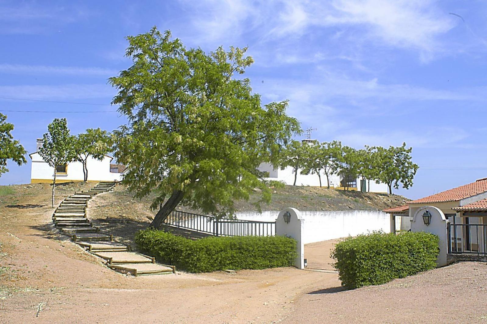 Apartment Monte Da Amoreira