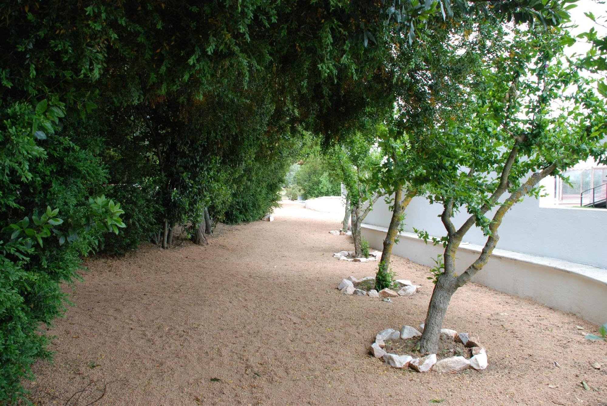 Monte Da Amoreira