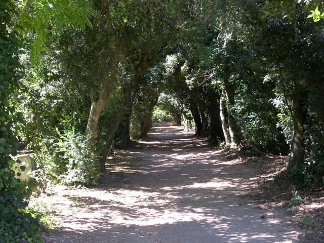 Monte Da Amoreira